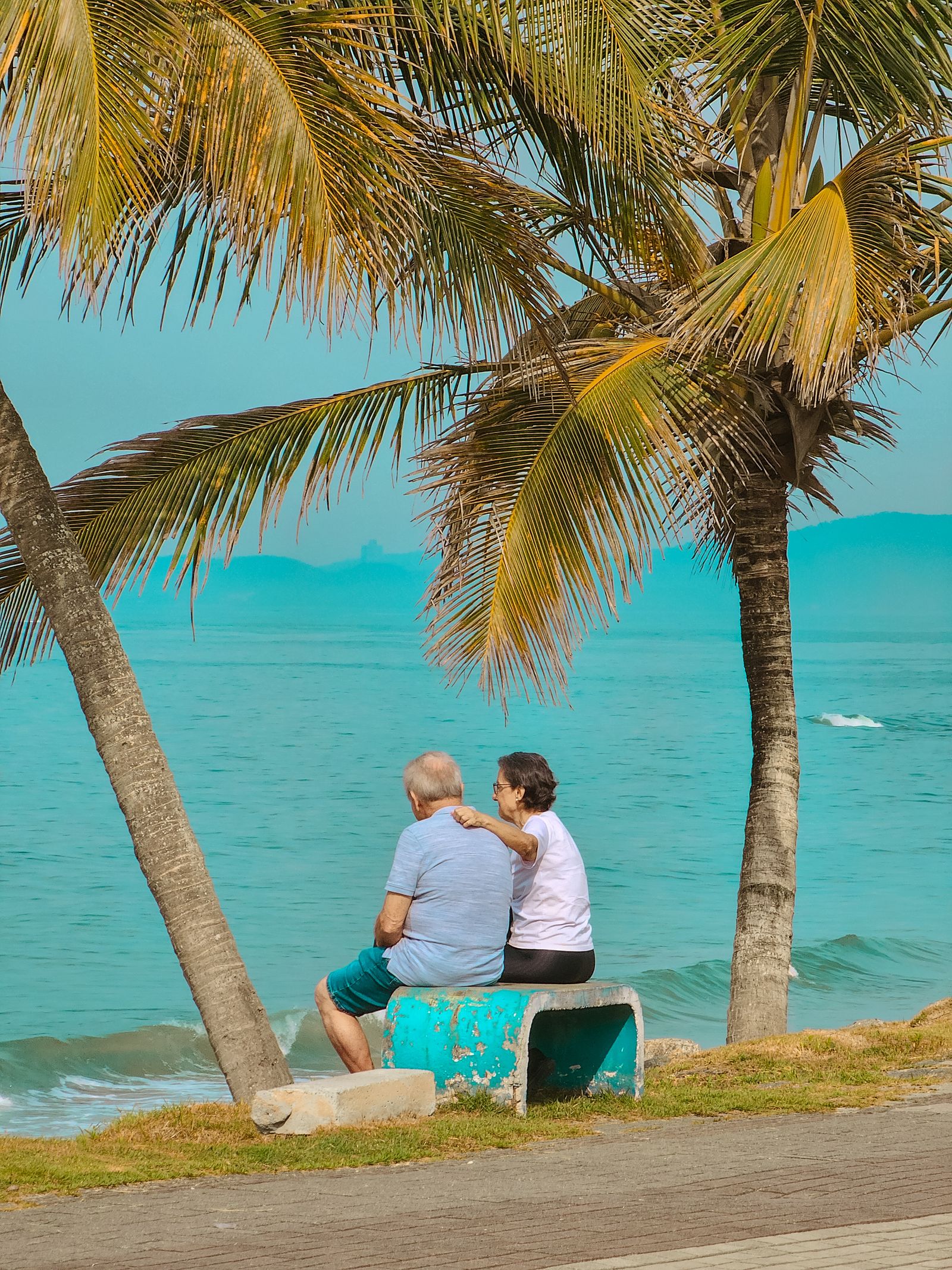 An older couple sitting together under palm trees, looking out at the ocean